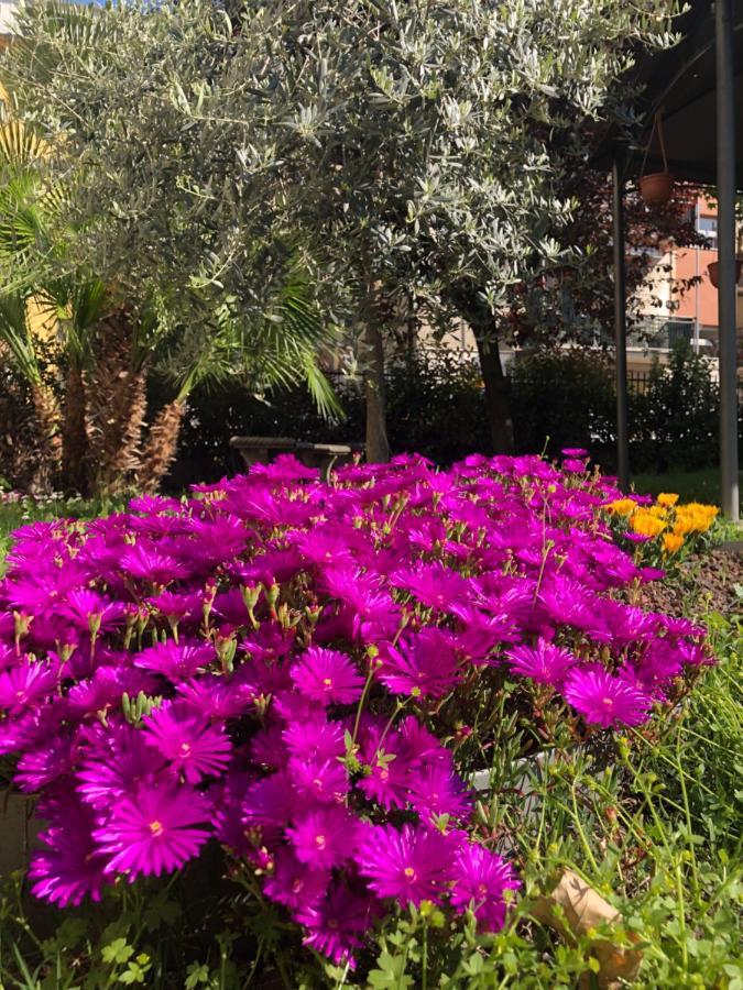 فندق Casa Elisa Dimora Urbana مودينا المظهر الخارجي الصورة